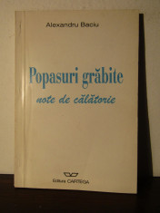 POPASURI GRABITE.NOTE DE CALATORIE-ALEXANDRU BACIU foto