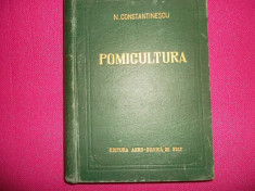 Pomicultura/ Constantinescu (an 1957) foto