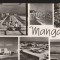 CPI (B9511) CARTE POSTALA - MANGALIA . MOZAIC, RPR, 1965