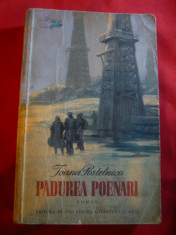 Ioana Postelnicu - Padurea Poenari - Prima Ed. 1953 ,ilustratii Al.Alexe foto