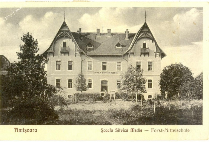 CP Z507 -TIMISOARA-SCOALA SILVICA MEDIE -FORST-MITTELSCHULE-CIRCULATA 20 IUN1932