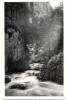 CP Z460 -REGIUNEA LACULUI ROSU (GHILCOS)-PHOTO ORIG.,,FOTOFILM&quot; CLUJ -1936