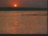 CPI (B9550) CARTE POSTALA - MAMAIA. LACUL SIUTGHIOL