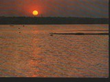 CPI (B9550) CARTE POSTALA - MAMAIA. LACUL SIUTGHIOL, Circulata, Fotografie