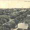 CP Z456 - BRAILA - VEDERE GENERALA -CIRCULATA 30 IULIE 1915-EDITURA TEODOR MANEA