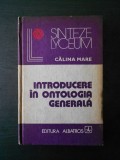 Calina Mare - Introducere in ontologia generala