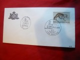 Plic FDC - Fauna - Congres International - Feline 1985 San Marino