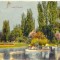 CP Z446 - BUCURESTI- LACUL CISMIGIU - CIRCULATA AUGUST 1932