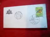 Plic FDC -Pesti - Campionat Mondial de Pescuit 1985 San Marino