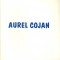Aurel Cojan - Ministerul Culturii si Cultelor - Galeria de arta &quot;Contrapunct&quot;