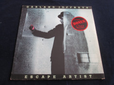 Garland Jeffreys - Escape Artist _ vinyl,LP,album _ Epic(UK) foto