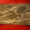 Ilustrata - Avion - Suvenir - inc.sec.XX