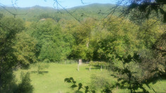 Gradina de vanzare -Cucuis,HD foto