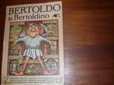 BERTOLDO SI BERTOLDINO ( format foarte mare, cu ilustratii ) * foto