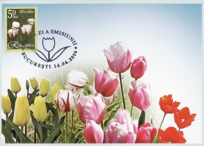 5997 - Romania 2006 - carte postala maxima foto