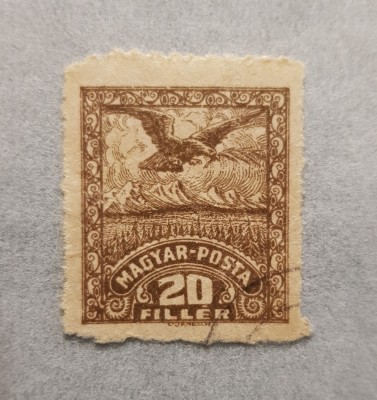 ZONA DE OCUPATIE DEBRETIN 1919 - EROARE FARA SUPRATIPAR !!!! foto