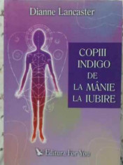 Copiii Indigo De La Manie La Iubire - Dianne Lancaster ,404395 foto