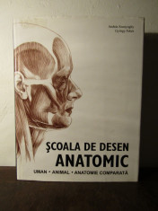 SCOALA DE DESEN ANATOMIC de ANDRAS SZUNYOGHY , GYORGY FEHER foto