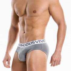 Modus Vivendi Weekly Brief Grey Large foto