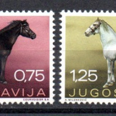 JUGOSLAVIA 1969, Fauna, Cai, serie neuzata, MNH