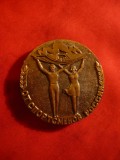 Placheta - Premiu - Pt.Sportivii Rusiei -Comitet Cultura fizica ,bronz ,d= 5 cm, Europa