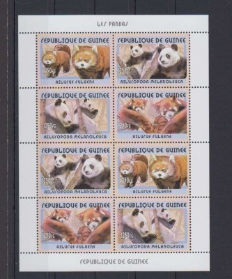 GUINEA 2002 FAUNA URSI PANDA foto