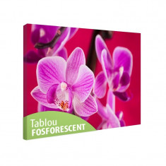 Tablou fosforescent Orhidee violet foto