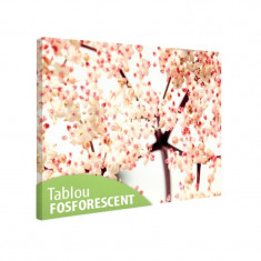 Tablou fosforescent Flori de soc foto