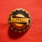 Insigna ICMUG Giurgiu ,metal si email , d= 3,5 cm