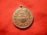 Medalie Israel -25 Ani Vita Anniversary, cu toarta , metal alb ,h= 2,5 cm