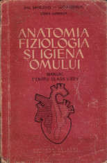 Anatomia, fiziologia și igiena omului foto