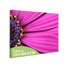 Tablou fosforescent Petale violet foto