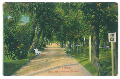 4042 - TURNU-SEVERIN, Park, Romania - old postcard - unused foto