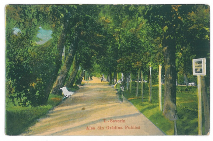 4042 - TURNU-SEVERIN, Park, Romania - old postcard - unused