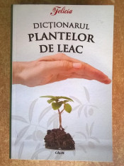 Dictionarul plantelor de leac foto