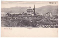 #2146 -Romania, Ocnele Mari c.p. necirc. aprox. 1900: Camarasia, targ animat foto