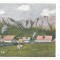 4054 - AZUGA, Prahova, Romania - old postcard - unused