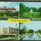 CPI (B9020) CARTE POSTALA - TIMISOARA, MOZAIC
