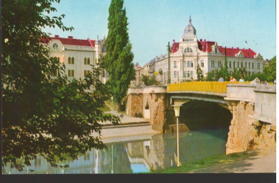 CPI (B9021) CARTE POSTALA - TIMISOARA, POD PESTE BEGA foto