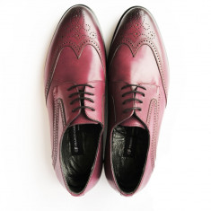 Pantofi eleganti pentru barbati Franco Gabbani LIBERATORE, piele naturala, bordo, 6315, 41 foto