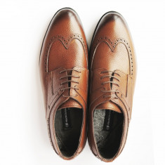 Pantofi eleganti pentru barbati Franco Gabbani BUFFALO New, piele naturala, cognac, 44 foto