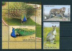 MOLDOVA 2013 - FAUNA - SERIE DE 2 TIMBRE+BLOC NESTAMPILAT - MNH / moldova42 foto