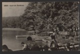 CPI (B9032) CARTE POSTALA - SIBIU. LACUL DIN DUMBRAVA, Circulata, Fotografie