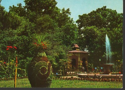 CPI (B9014) CARTE POSTALA - BUZIASI. VEDEREDIN PARC foto