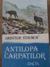 Antilopa Carpatilor - Aristide Stavros ,405353 foto