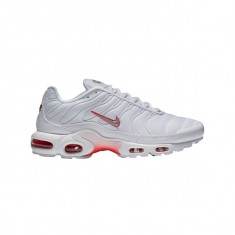 INCALTAMINTE NIKE AIR MAX PLUS COD 852630-101 foto