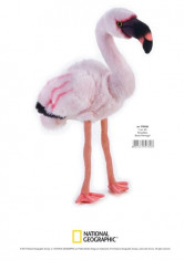 Jucarie Plus Venturelli - National Geographic Flamingo 45 Cm - Av770760 foto