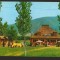 CPI (B9068) CARTE POSTALA - CABANA SERMISEGETUSA