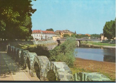 CPI (B9049) CARTE POSTALA - LUGOJ - VEDERE foto