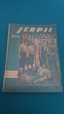 ?ERPII DIN GALLIPOLI/ COLEC?IA ALBASTRA/ VIRGIL FLORESCU/ ANII 1930 foto